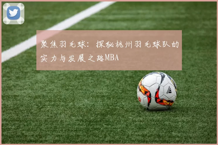 聚焦羽毛球：探秘杭州羽毛球队的实力与发展之路MBA