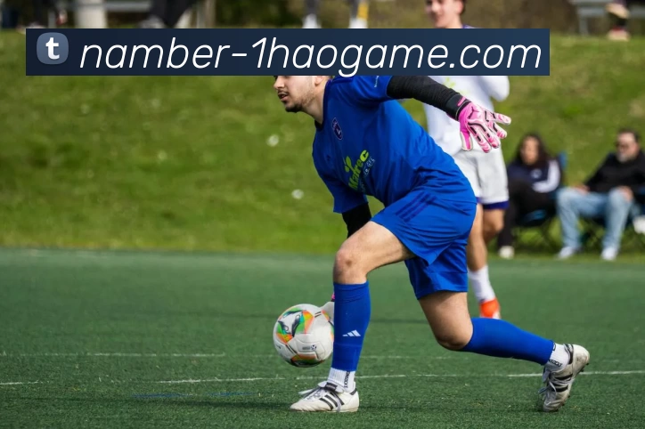 1号娱乐平台生态图